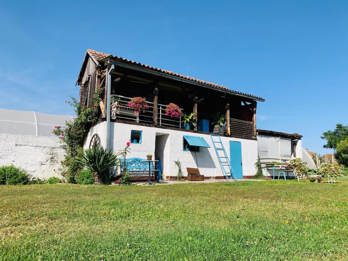Lux House Olga Apartamento Ruma Exterior foto